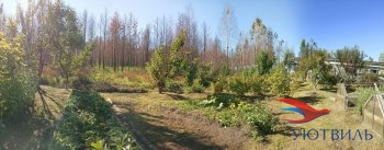Бревенчатый дом в СНТ Ветеран в Истре - istra.yutvil.ru - фото 12