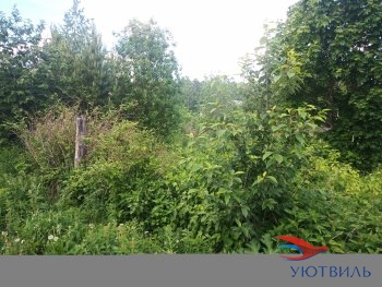 Земля в Станционном-Полевском в Истре - istra.yutvil.ru - фото 2 Земля в Станционном-Полевском в Истре - istra.yutvil.ru - фото 2