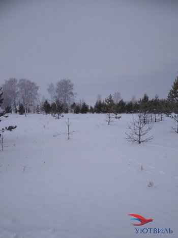 Земельный участок поселок Баженово в Истре - istra.yutvil.ru - фото 2 Земельный участок поселок Баженово в Истре - istra.yutvil.ru - фото 2