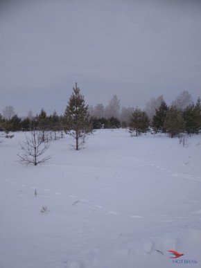 Баженово ул Южная д 7 в Истре - istra.yutvil.ru - фото 5