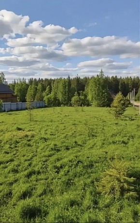 ДП Родной в Истре - istra.yutvil.ru - фото 3