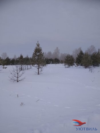 Земельный участок поселок Баженово в Истре - istra.yutvil.ru - фото 5 Земельный участок поселок Баженово в Истре - istra.yutvil.ru - фото 5