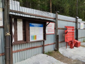 г.Верхняя Пышма СНТ №5 Березки в кв. 22 Среднеуральского Уралмашевского лесхоза в Истре - istra.yutvil.ru - фото 18