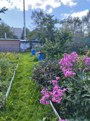 Коллективный сад номер 7, участок 58 в Истре - istra.yutvil.ru - фото 23 Коллективный сад номер 7, участок 58 в Истре - istra.yutvil.ru - фото 23