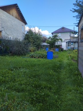 Коллективный сад номер 7, участок 58 в Истре - istra.yutvil.ru - фото 26 Коллективный сад номер 7, участок 58 в Истре - istra.yutvil.ru - фото 26