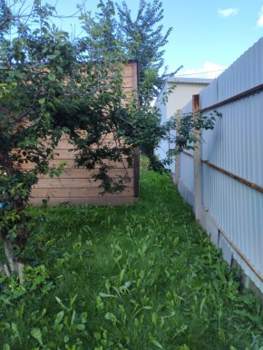 Коллективный сад номер 7, участок 58 в Истре - istra.yutvil.ru - фото 27 Коллективный сад номер 7, участок 58 в Истре - istra.yutvil.ru - фото 27