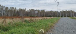 с. Новоалексеевское, КП Оникс,  в Истре - istra.yutvil.ru - фото 2