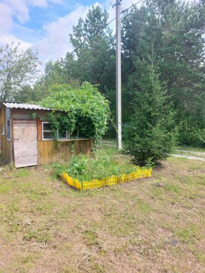 СНТ Родники в Истре - istra.yutvil.ru - фото 1 СНТ Родники в Истре - istra.yutvil.ru - фото 1