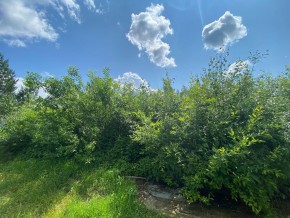 СПК Юбилейный, уч. 9 в Истре - istra.yutvil.ru - фото 15
