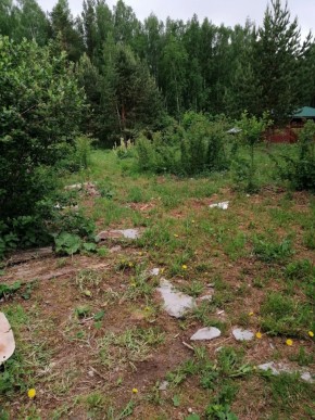 СТН Семья №112, Верхняя пышма на землях бывшего подсобного хозяйтва верхнепышминского опытного завода в Истре - istra.yutvil.ru - фото 17 СТН Семья №112, Верхняя пышма на землях бывшего подсобного хозяйтва верхнепышминского опытного завода в Истре - istra.yutvil.ru - фото 17