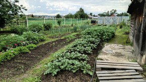 ул. 8-е Марта,46 в Истре - istra.yutvil.ru - фото 8 ул. 8-е Марта,46 в Истре - istra.yutvil.ru - фото 8