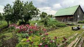 ул. 8-е Марта,46 в Истре - istra.yutvil.ru - фото 10 ул. 8-е Марта,46 в Истре - istra.yutvil.ru - фото 10