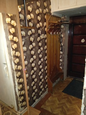 ул. Бажова,11 в Истре - istra.yutvil.ru - фото 9 ул. Бажова,11 в Истре - istra.yutvil.ru - фото 9