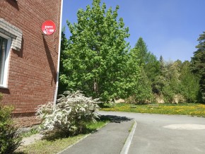 ул. Сосновая, 8 в Истре - istra.yutvil.ru - фото 25