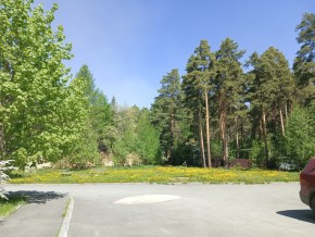 ул. Сосновая, 8 в Истре - istra.yutvil.ru - фото 26